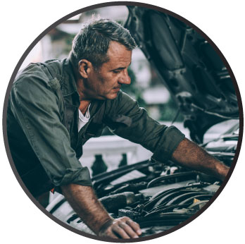 Motor Vehicle Services